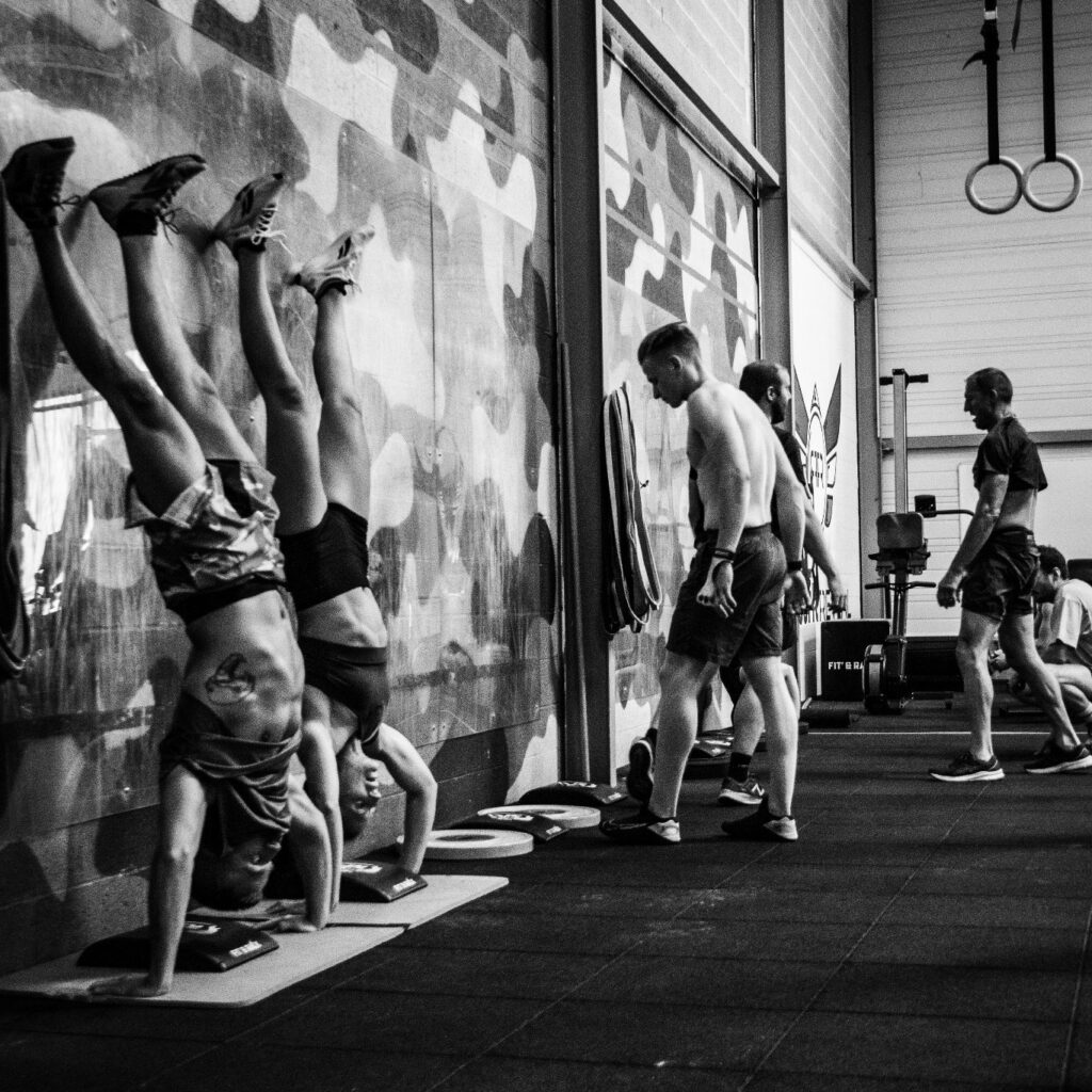 482302749 1390693519013019 1256053562041529111 n